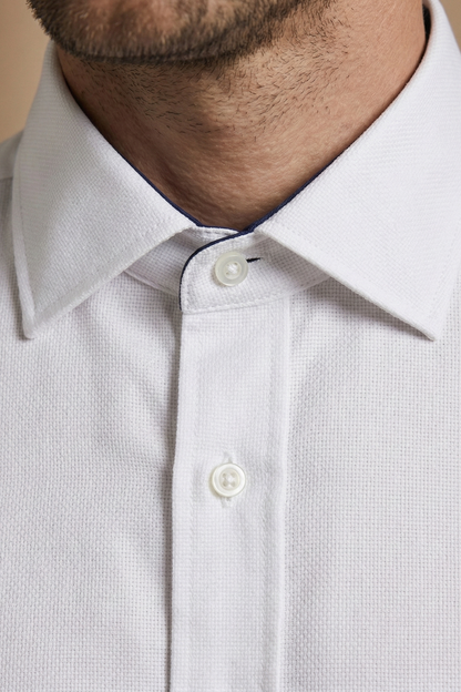 Palatial White with Navy Contrast